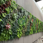 Jasa Vertical Garden BSD